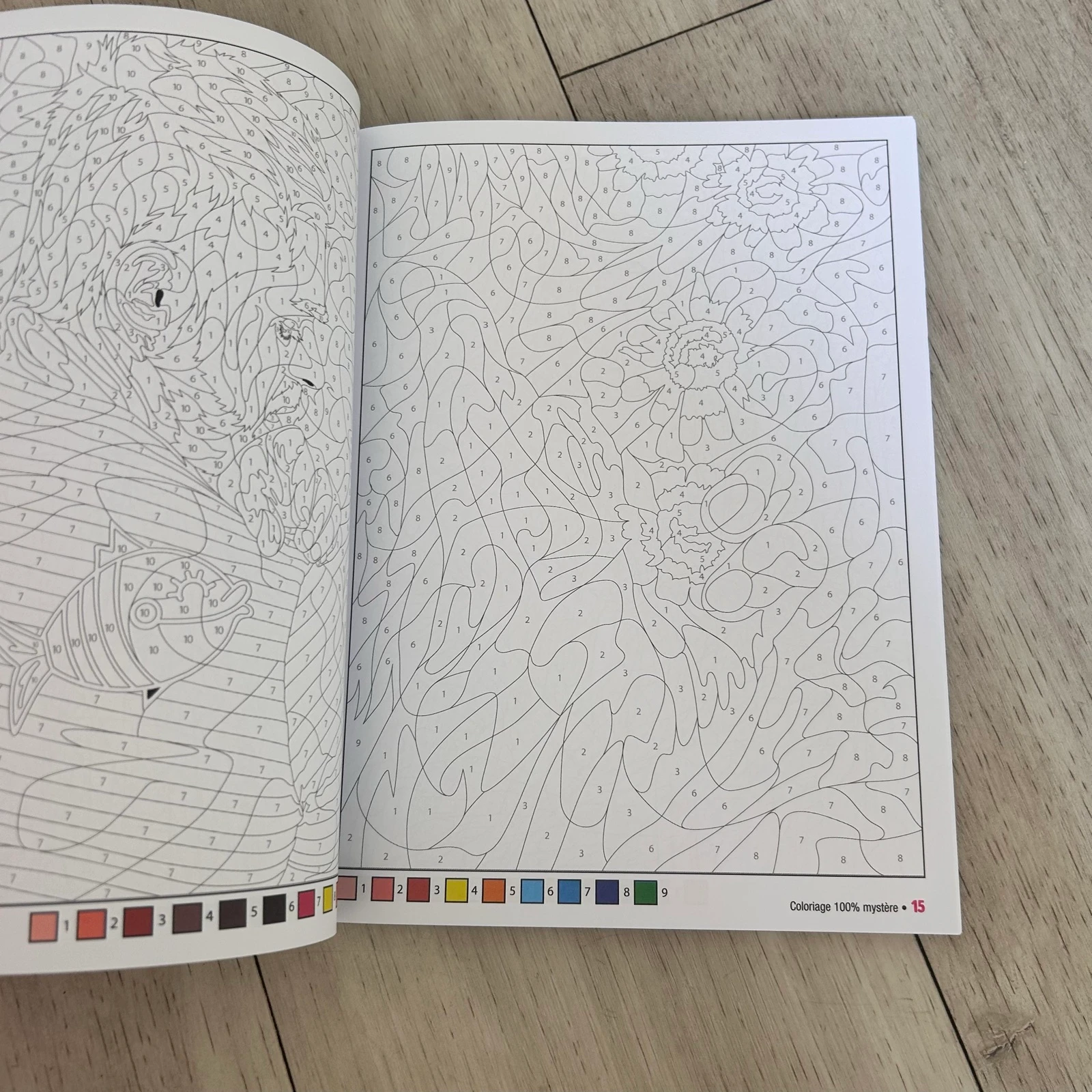 Diverti Coloriage 100% Mystère N°16 – Cores Francesas por Número – photo 3